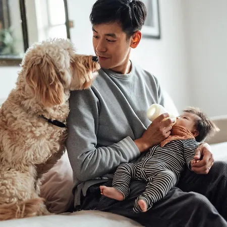 호텔 르 메르디앙