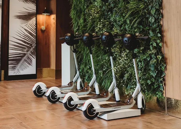 Le Meridien מלון 4*